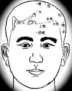 %title插图%num