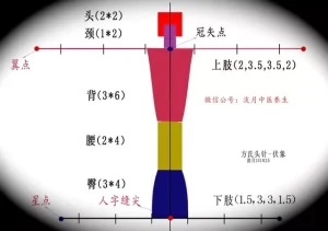%title插图%num
