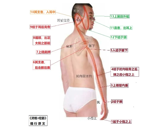 %title插图%num