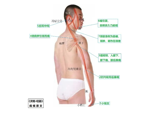 %title插图%num