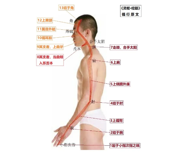 %title插图%num