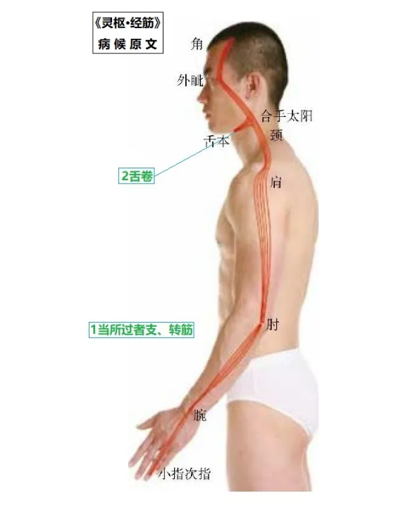 %title插图%num
