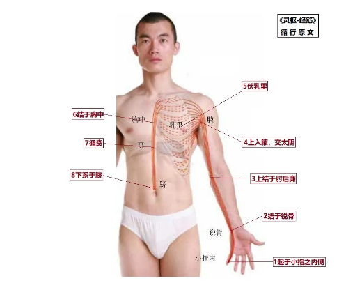 %title插图%num