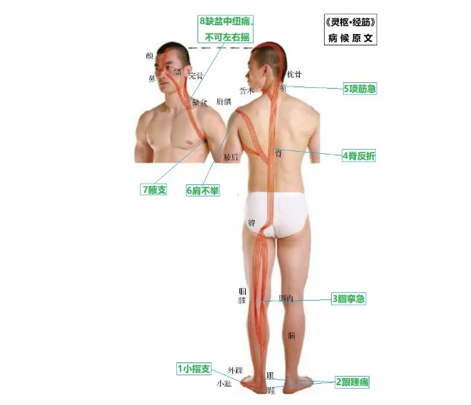 %title插图%num