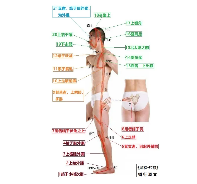 %title插图%num