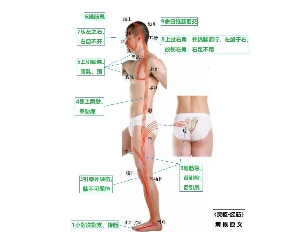 %title插图%num