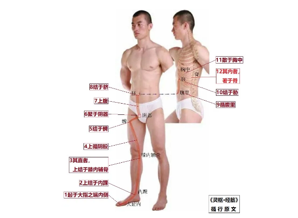 %title插图%num