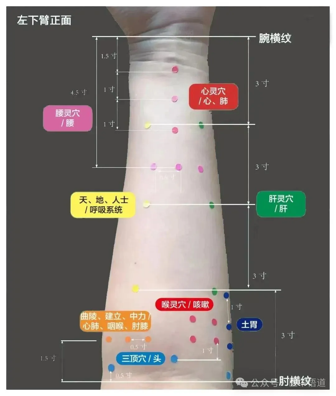 %title插图%num