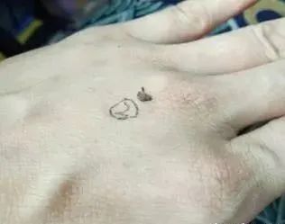 %title插图%num