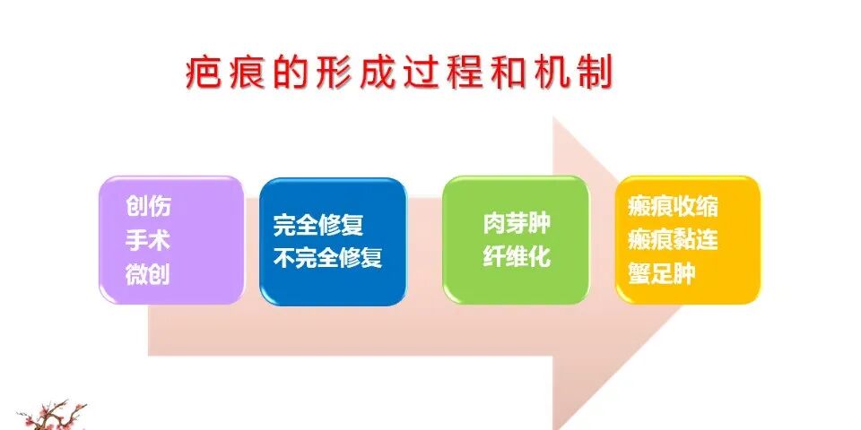 %title插图%num 图片