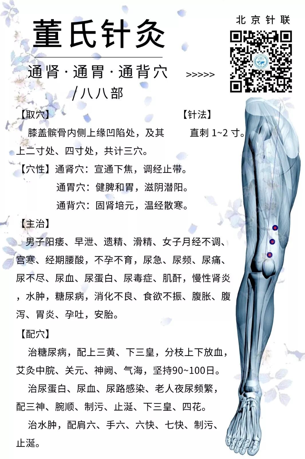 董针-88-通肾通胃通背.jpeg