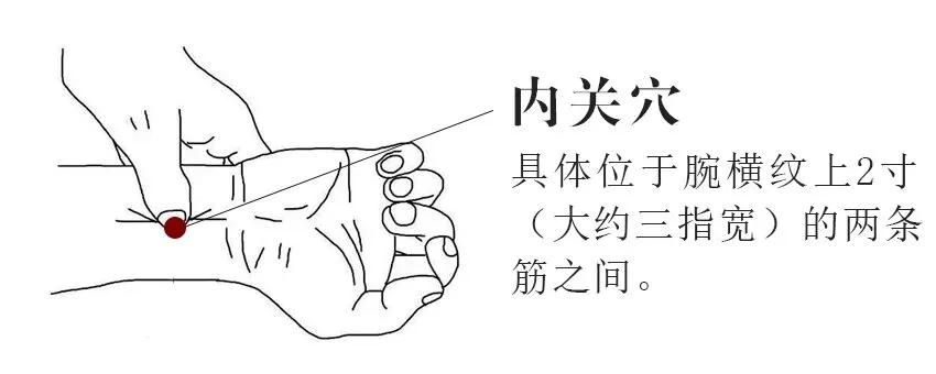 内关穴.jpg