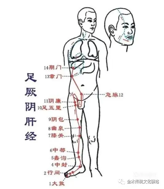 å¾ç
