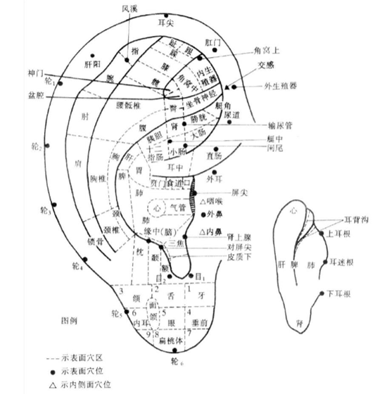1113057865b7255805f0586ca5e17fcc.png 1113057865b7255805f0586ca5e17fcc.png